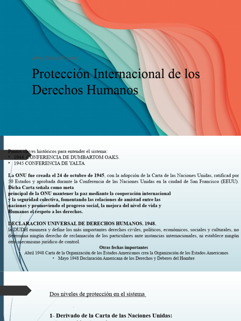 ONU Protección Internacional de Los Derechos Humanos | PDF | Naciones ...