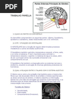 TRABALHO PAMELLA