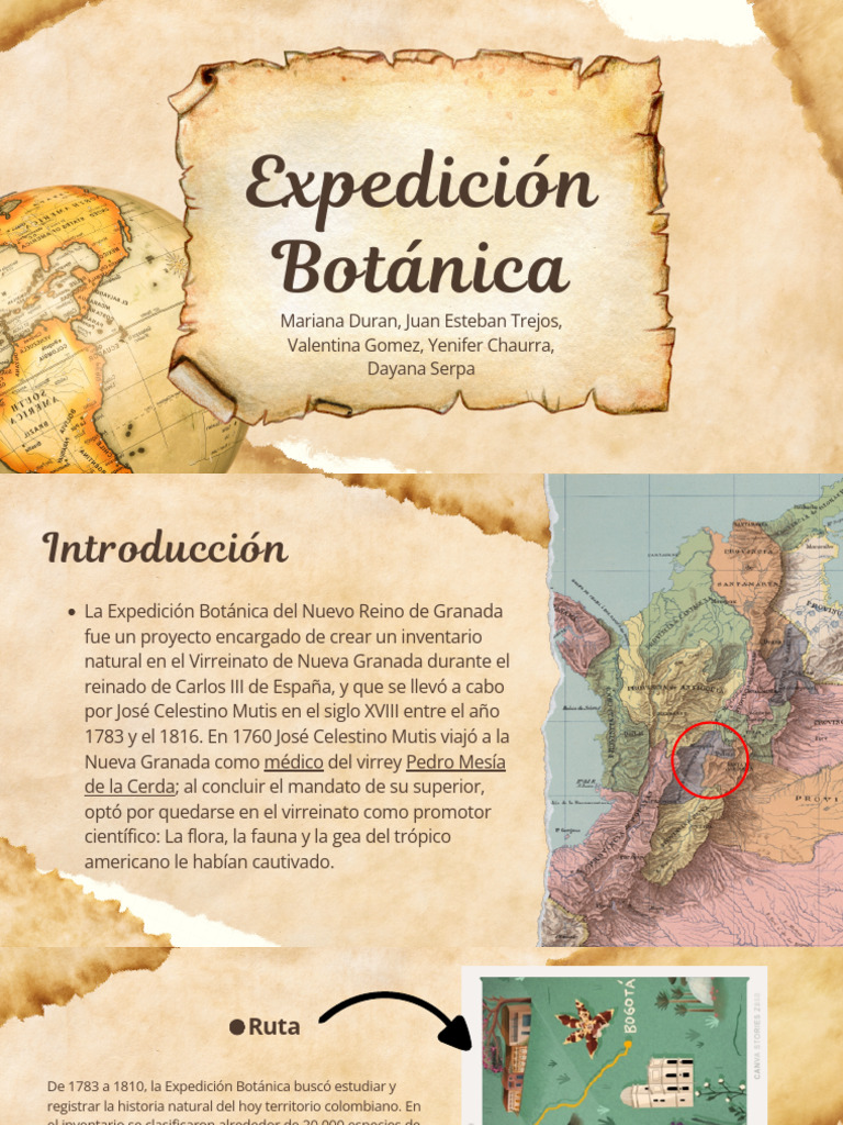 Dibujo de la Expedición Botánica | PDF | Viajes y turismo