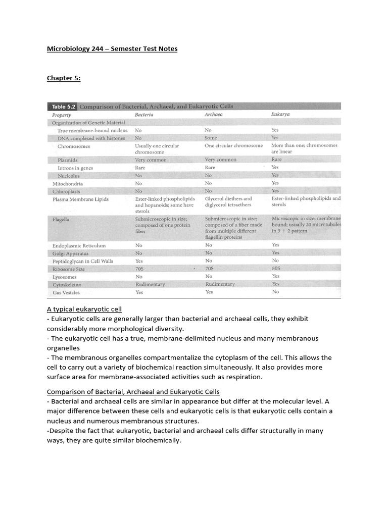 Eukaryotic and Prokaryotic Cell Differences | PDF | Fungus | Bacteria