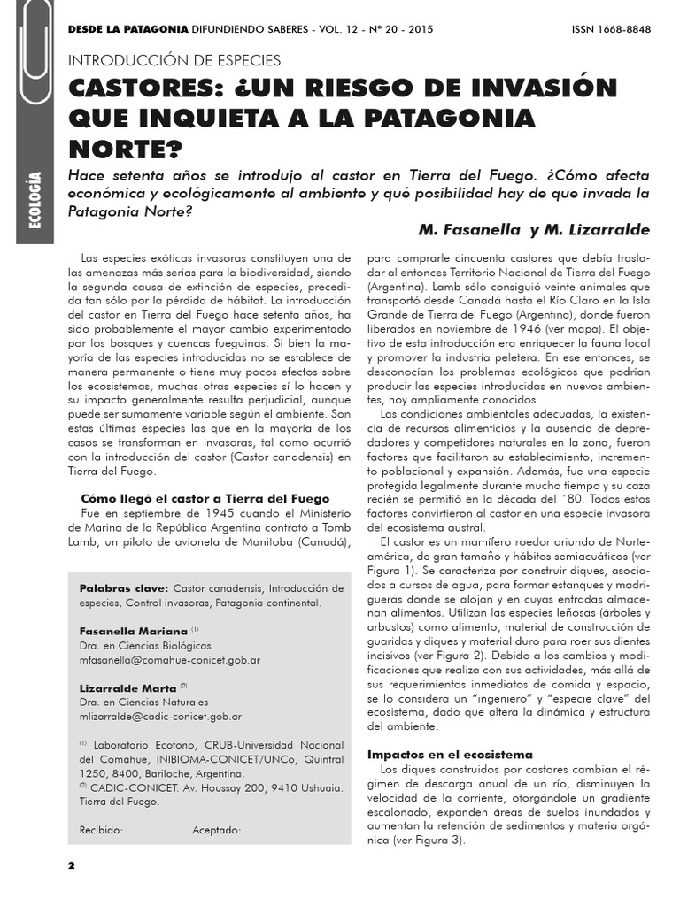 Castores en Patagonia: Impacto y Control | PDF | Castor | Especies ...