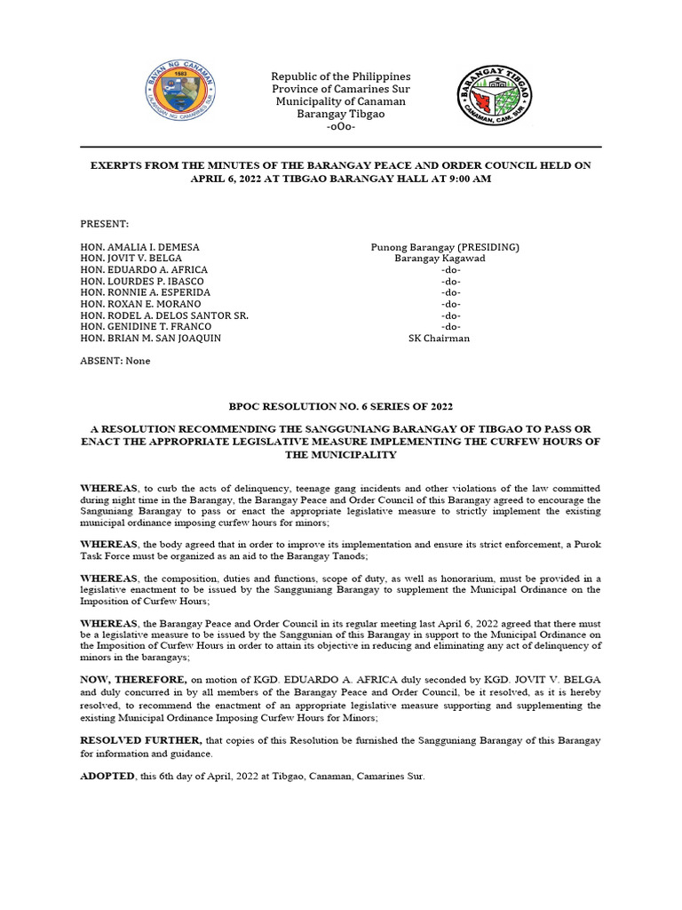 Tibgao Barangay Curfew Ordinance Proposal | PDF | Public Law | Government