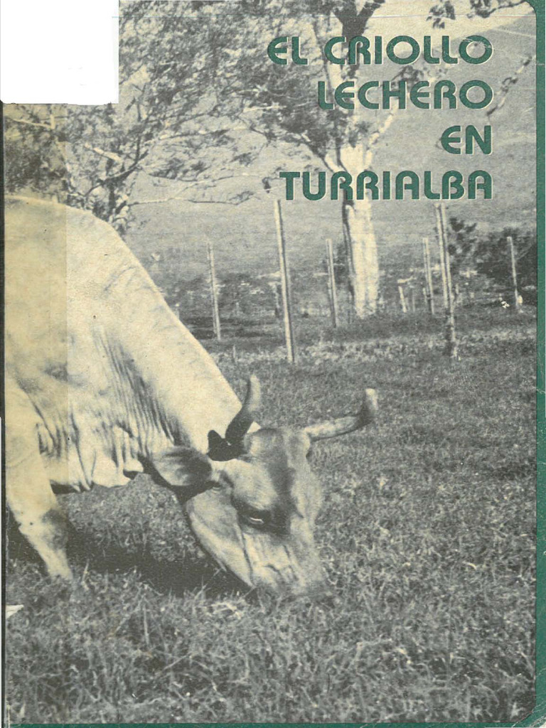 El Criollo Lechero en Turrialba | PDF | Bovinos | Domesticación