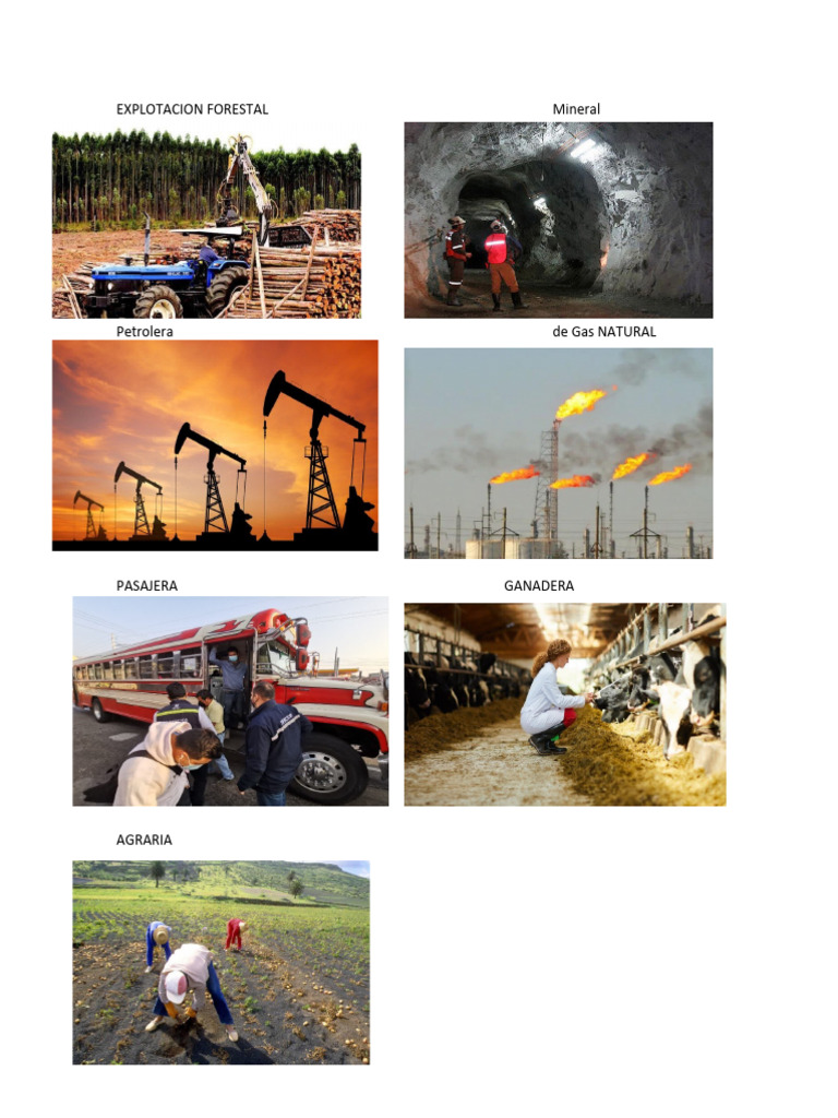 Explotación de Recursos Naturales | PDF