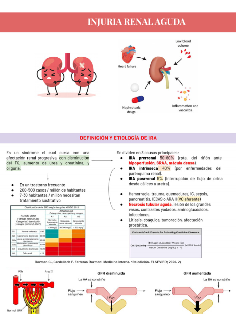 Injuria Renal Aguda. Una Enfermedad Reversible – TUZXO
