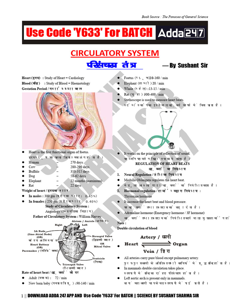 Anatomy visual data 5