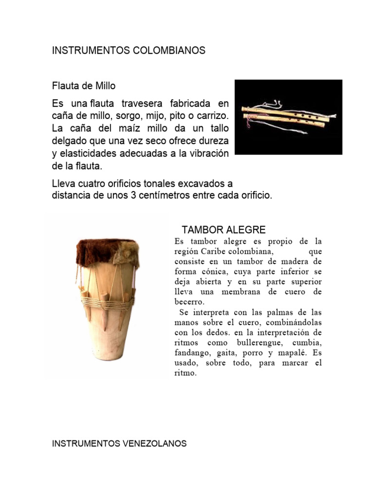 Instrumentos Musicales Andinos | PDF