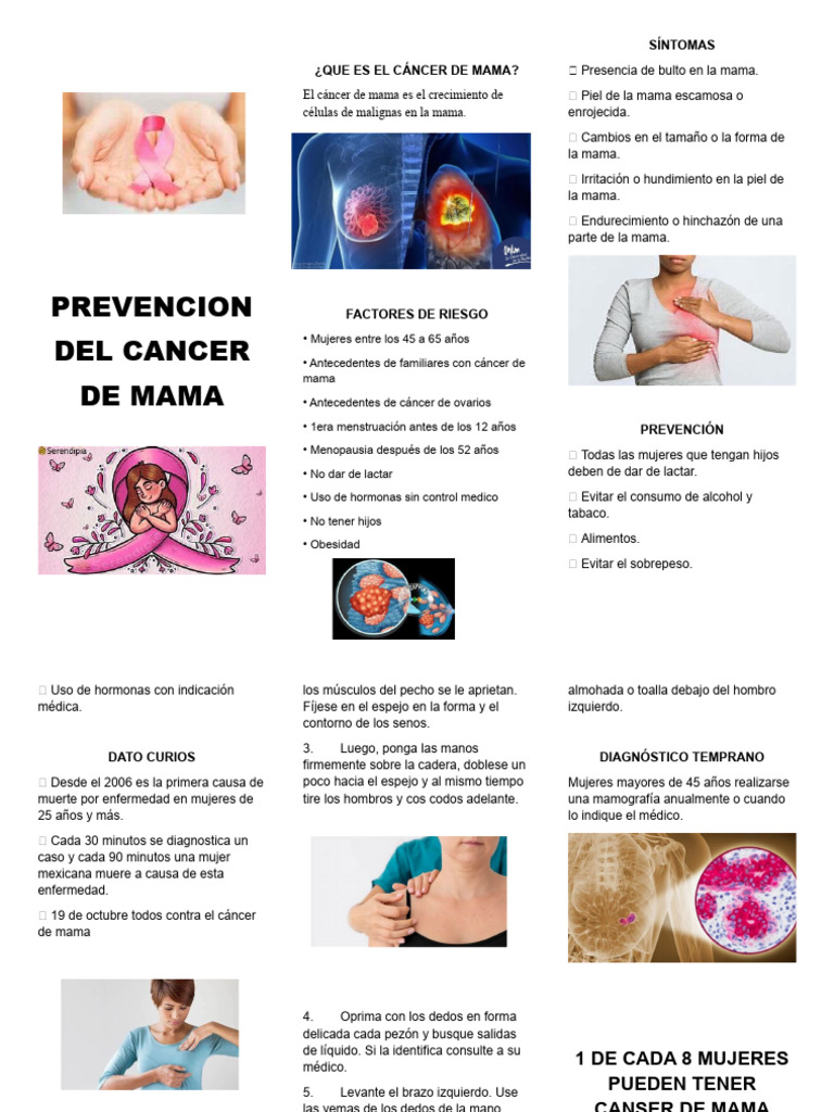 Prevencion Del Cancer de Mam1 | PDF | Pecho | Cáncer de mama