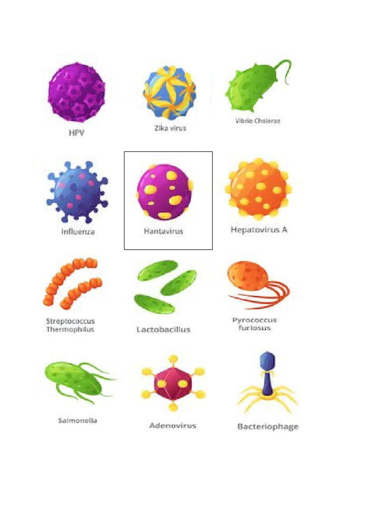 Imagenes de Microorganismos | PDF