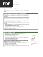 Protocole Stanish pour tendinopathies | PDF | Tendon | Genou