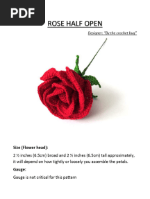 Rose Half Open