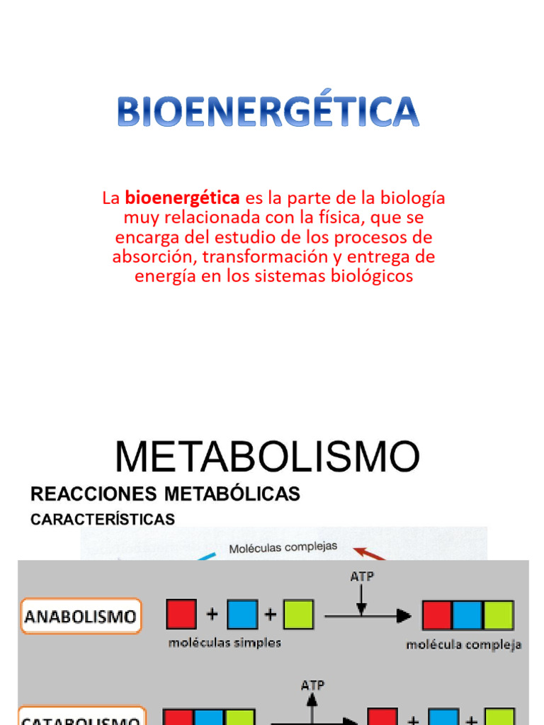 Bioenergética y Metabolismo Celular | PDF | Trifosfato de adenosina ...