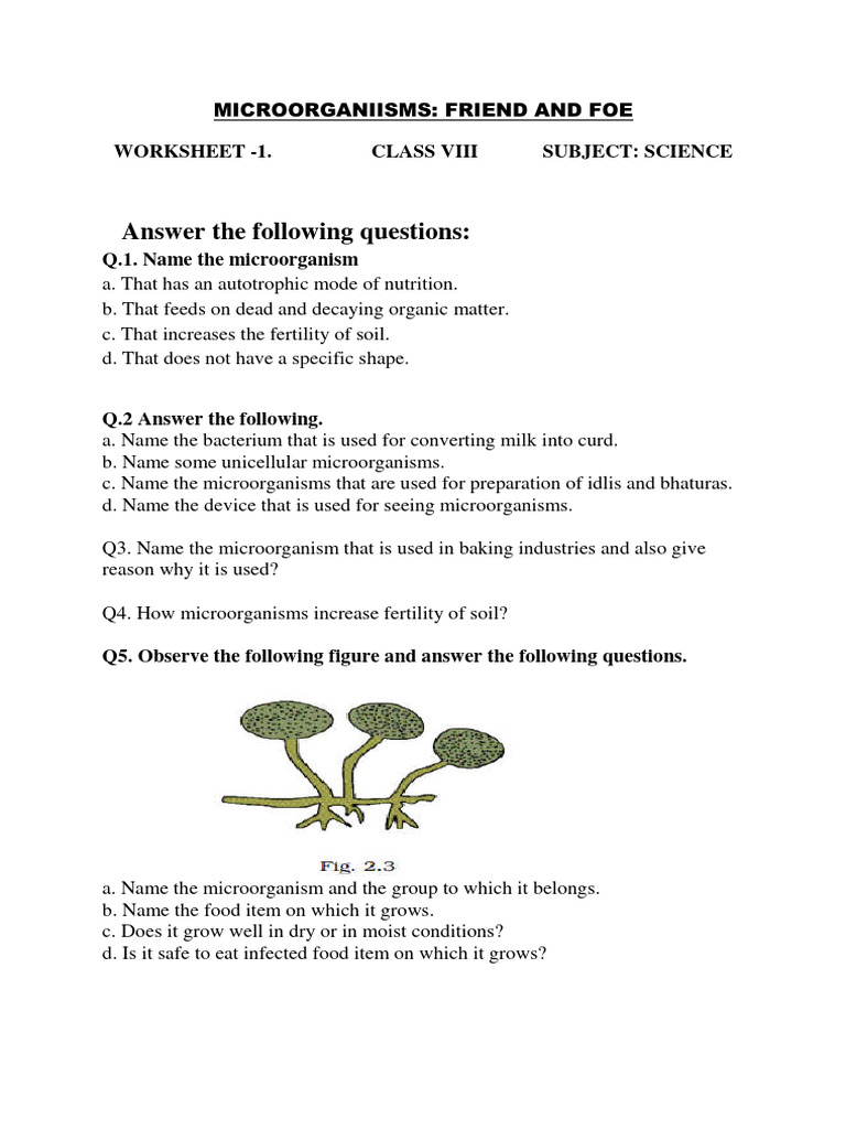 Meaning Of Friend And Foe In Hindi