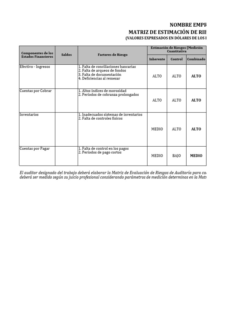 Matriz de Riesgos de Auditoría Financiera | PDF | Business