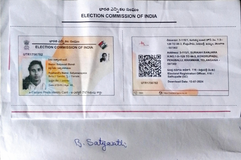 Voter ID | PDF