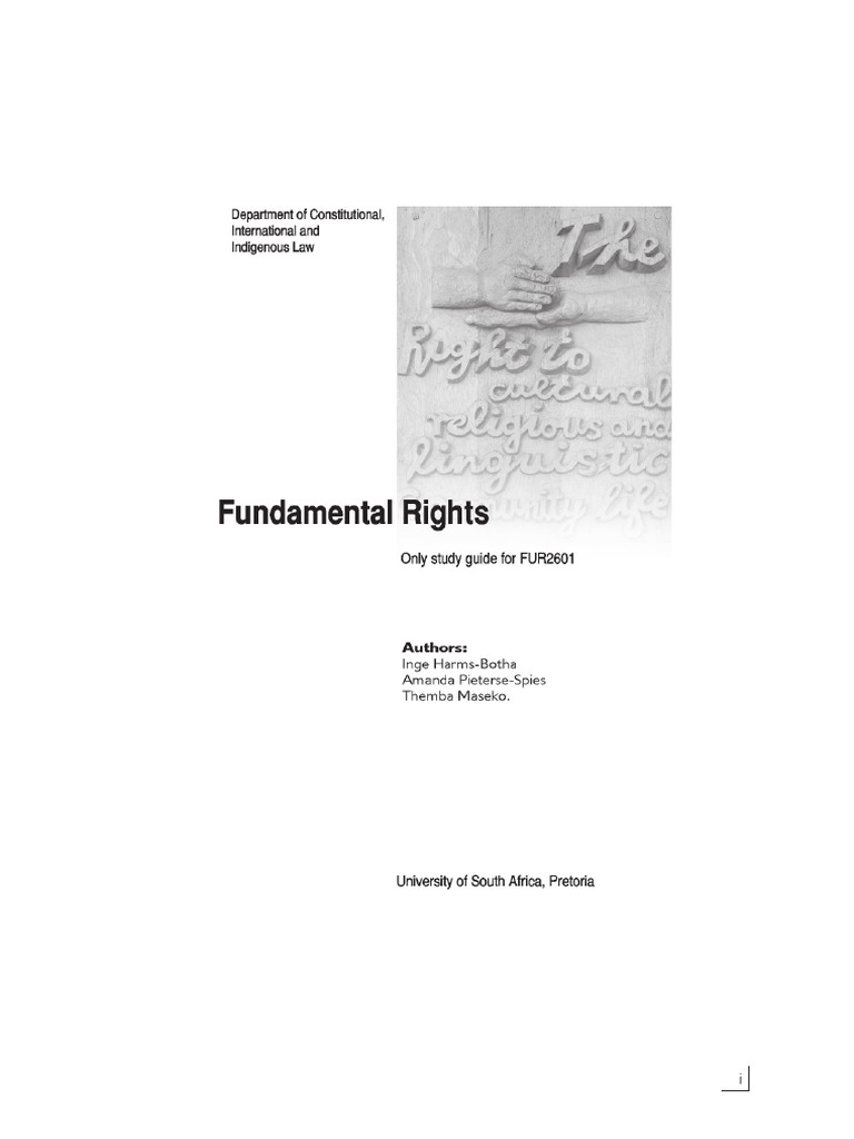 Understanding South Africa's Bill of Rights | PDF | Separation Of ...