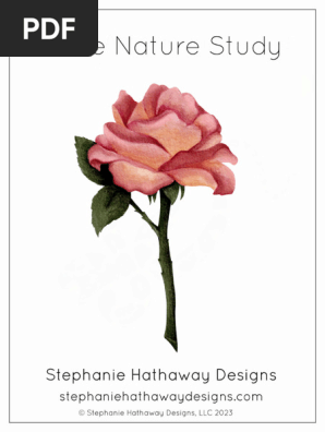 Rose+Mini+Study