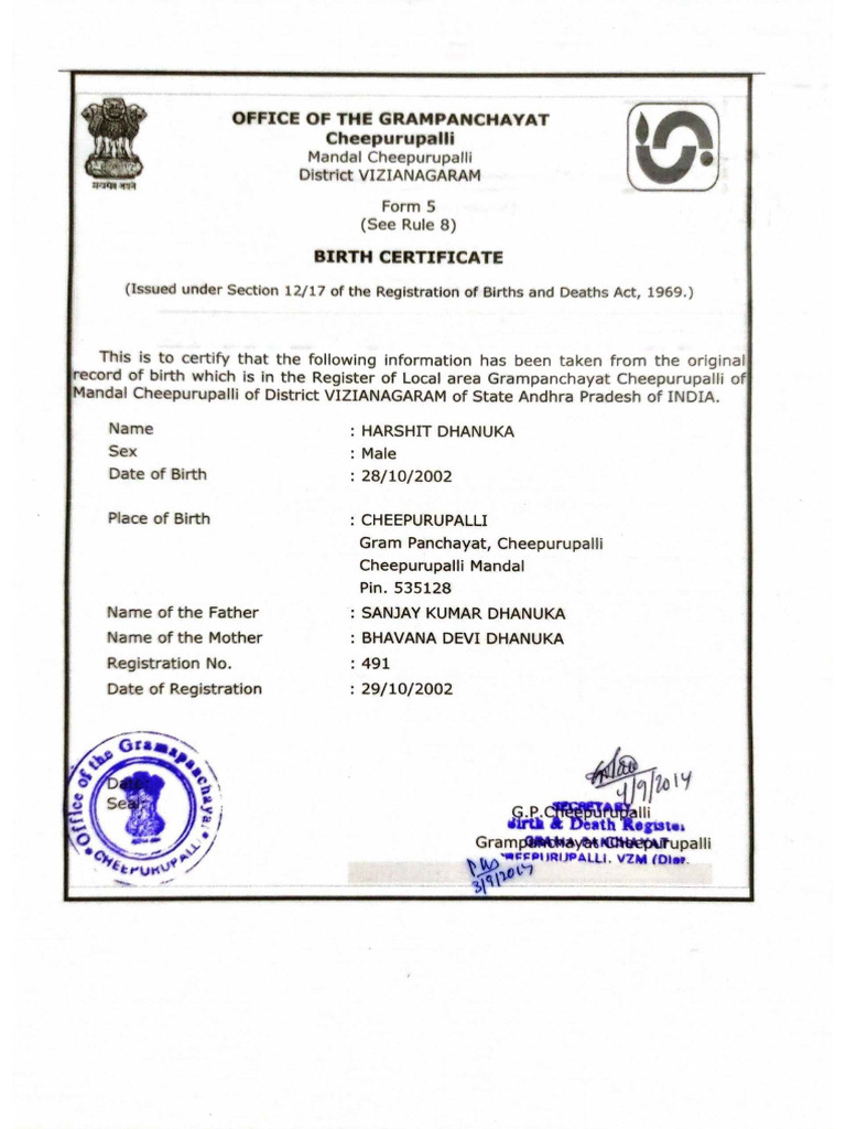 HOW TO MAKE BIRTH CERTIFICATE PDF visual data 2