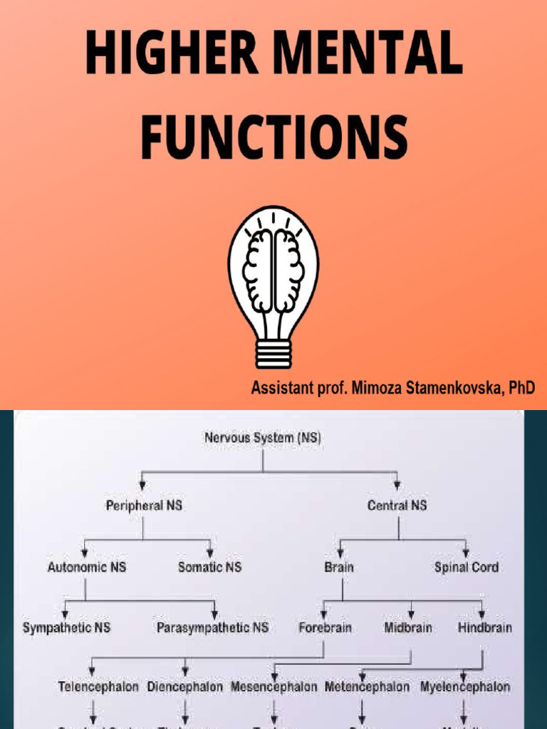 VI Lecture - Higher Mental Functions | PDF | Memory | Recall (Memory)