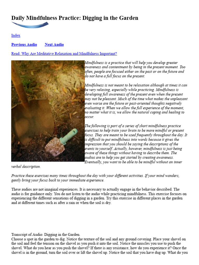 Mindfulness Information | PDF | Mindfulness | Sleep
