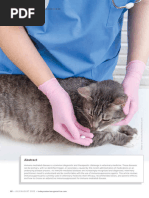 Cytologic Patterns - Eclinpath PDF | PDF | Neoplasms | White Blood Cell