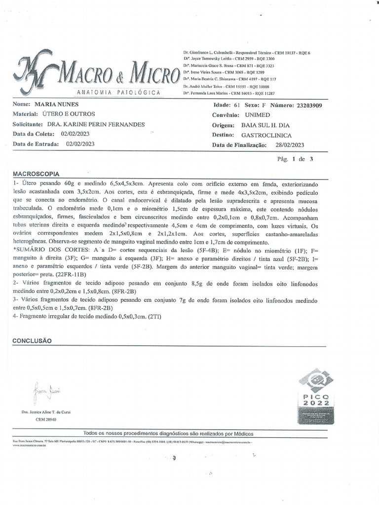 laudo-01-pdf