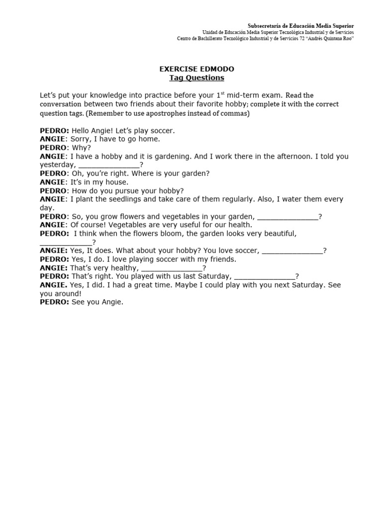EDMODO Tag Questions | PDF