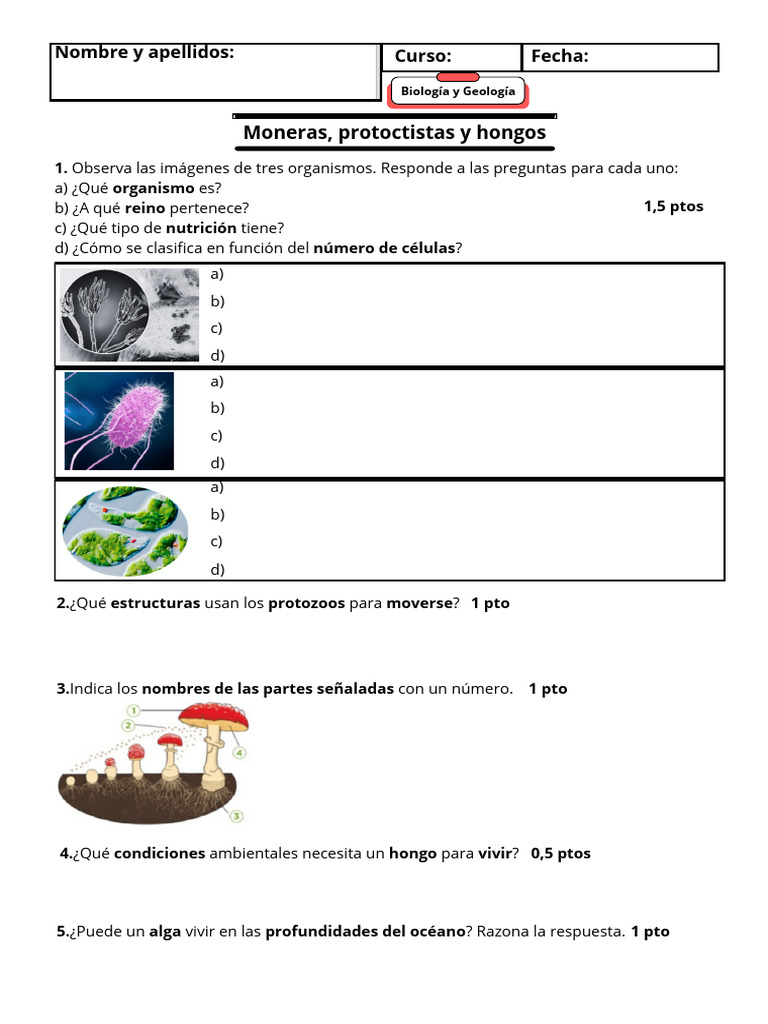 Examen 1 ESO Moneras Hongos Protoctistas | PDF | Protozoos | Las bacterias
