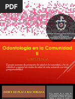 Trabajo De Indice De Oleary Pdf Higiene Oral Ciencias De La Salud