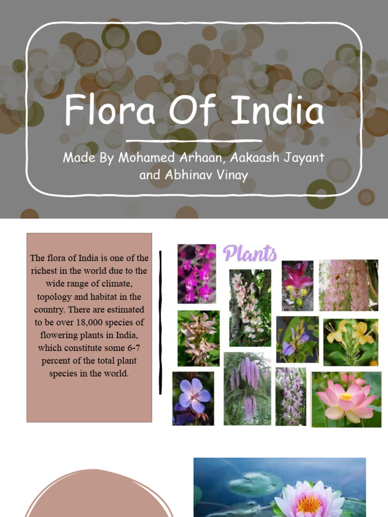 Aakaash Arhaan and Abhinav Project | PDF | Pine | Trees