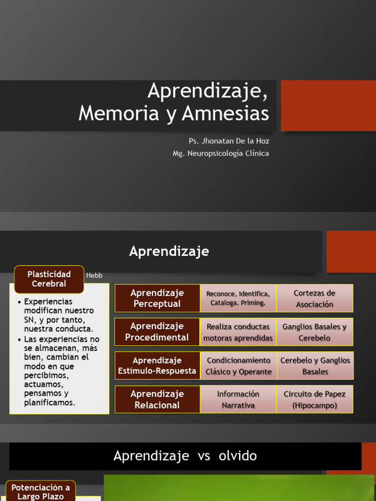 Neuropsicología del Aprendizaje y Memoria | PDF | Amnesia | Memoria
