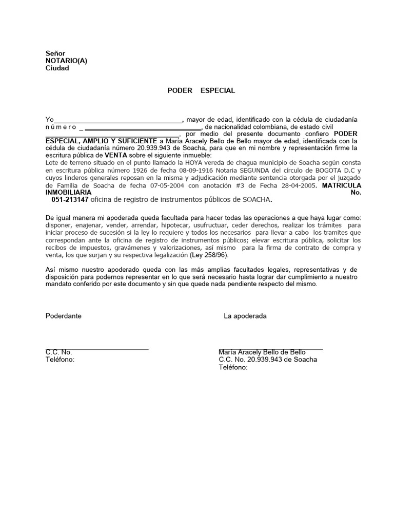 Formato Poder | PDF