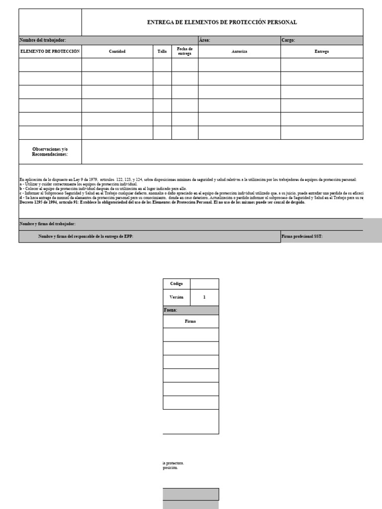 Formato de Entrega de EPP en Excel | PDF