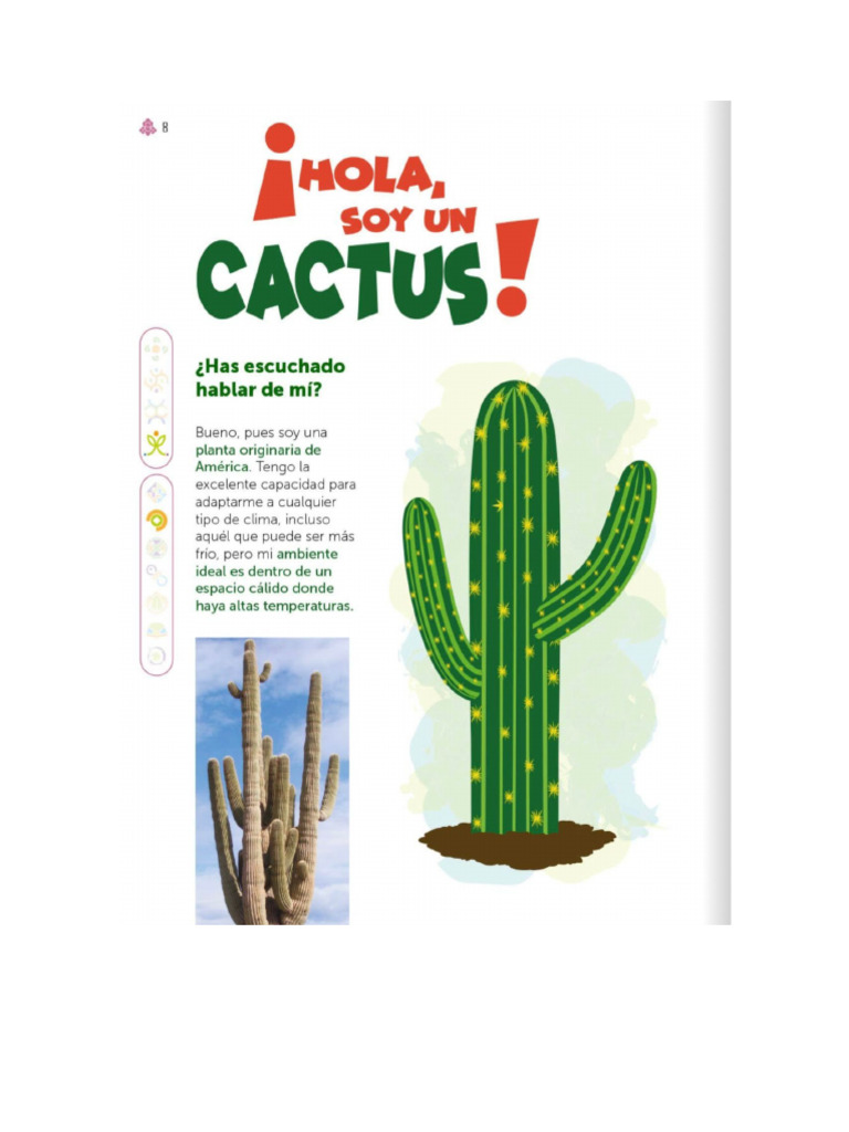 CACTUS | PDF