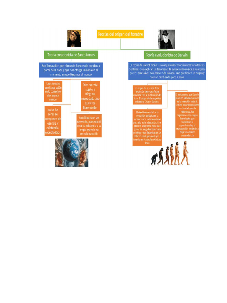 Mapa Conceptual Teoria Evolucion Del Hombre | PDF