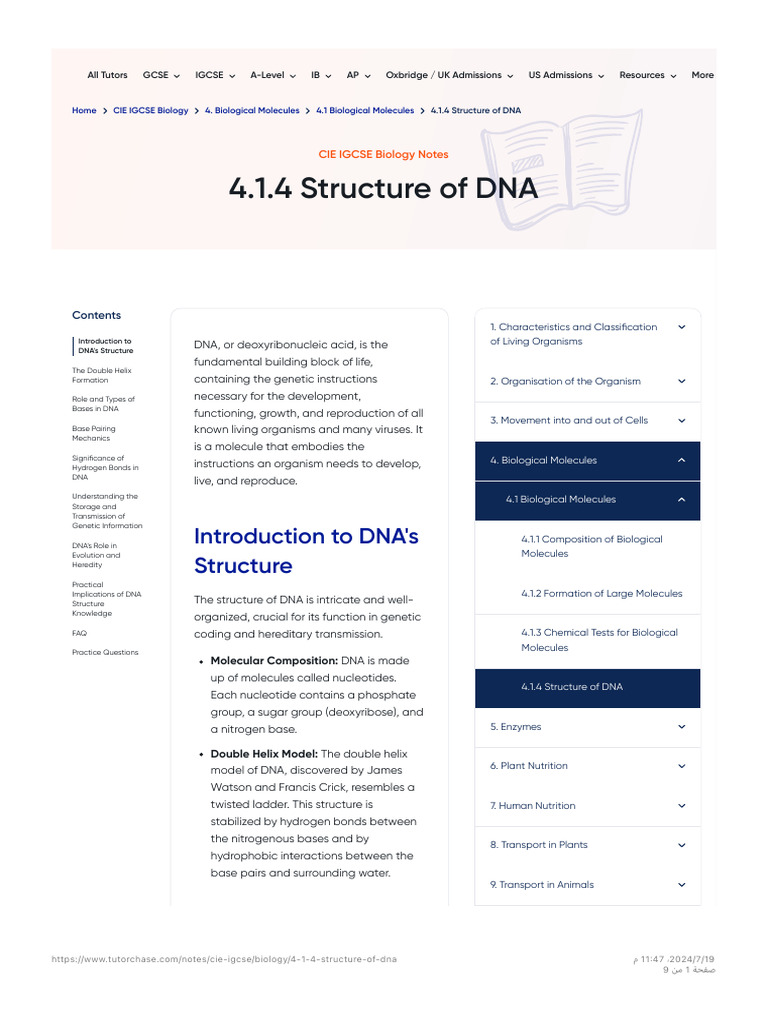 Structure of DNA for IGCSE Biology | PDF | Dna | Base Pair