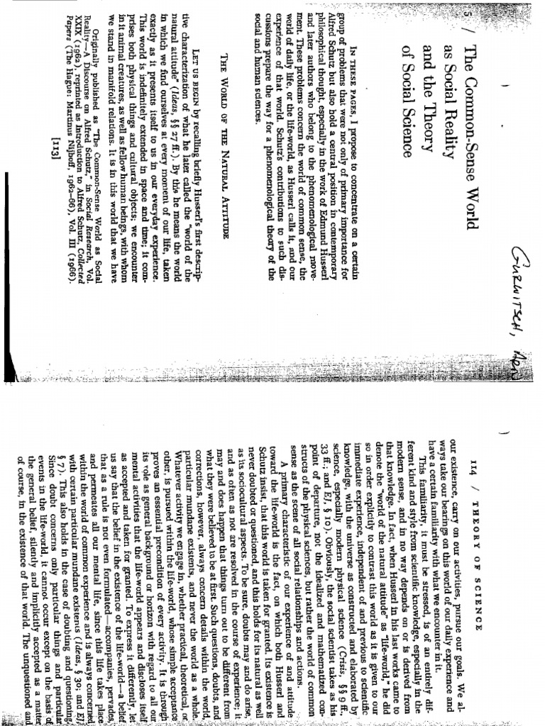 Gurwitsch Common Sense World | PDF