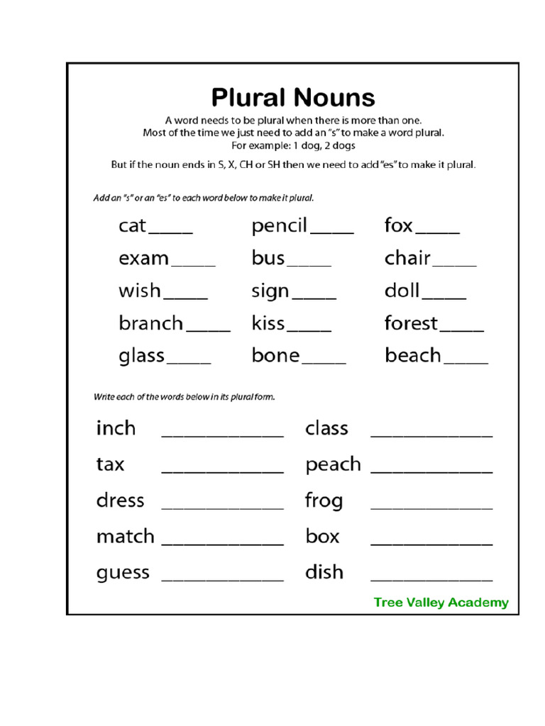 Singular Plural Worksheet | PDF