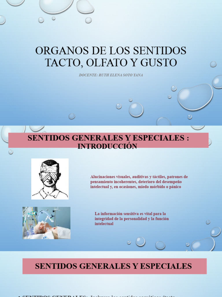 tacto-olfato-y-gusto-resy-2024-pdf-gusto-neurociencia