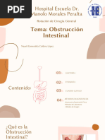 Ángulo de Treitz: Anatomía y Ubicación | PDF