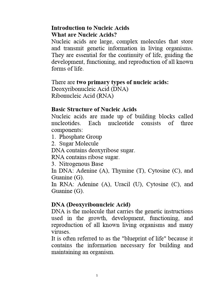 Primary Structure of Nucleic Acids | PDF | Rna | Nucleic Acids