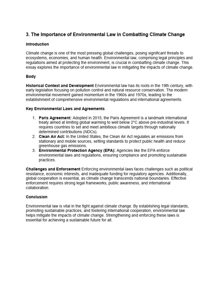 Human Rights | PDF