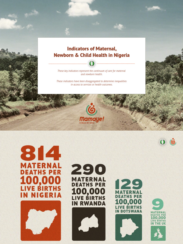 Maternal and Newborn Health Indicators in Nigeria | PDF | Family ...