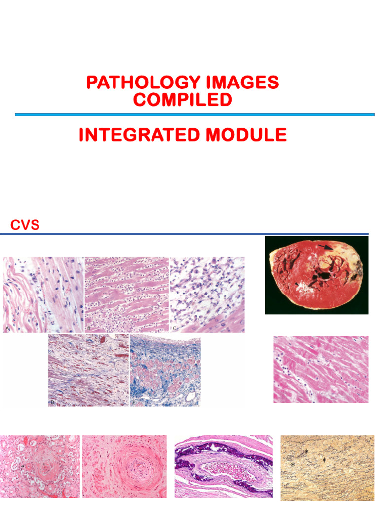 Intgrated Path Images | PDF