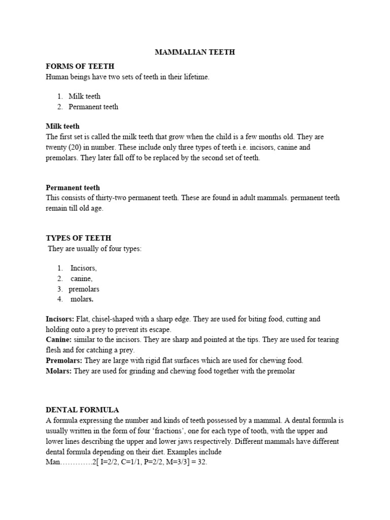 Mammalian Teeth and Enzymes | PDF | Tooth | Digestion