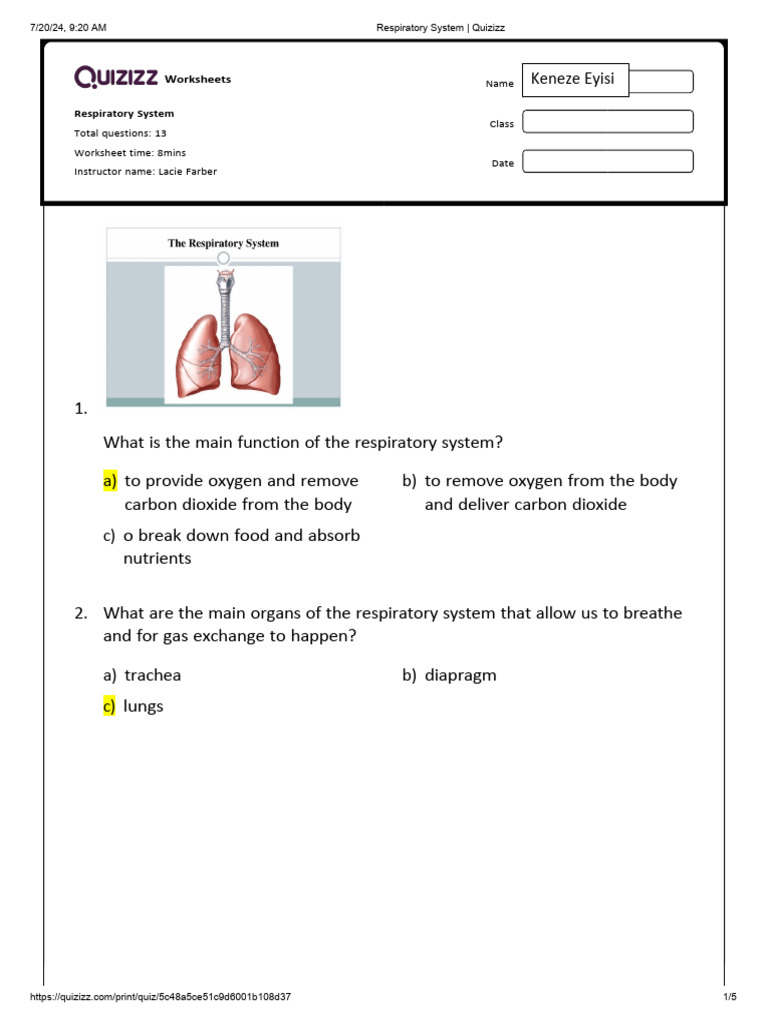 Respiratory System Quiz Questions | PDF | Respiratory System | Lung