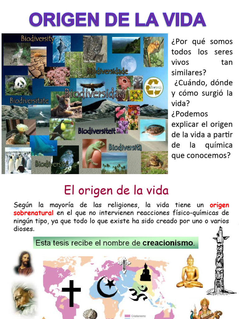 Teorías sobre el origen de la vida | PDF | Biología | Naturaleza