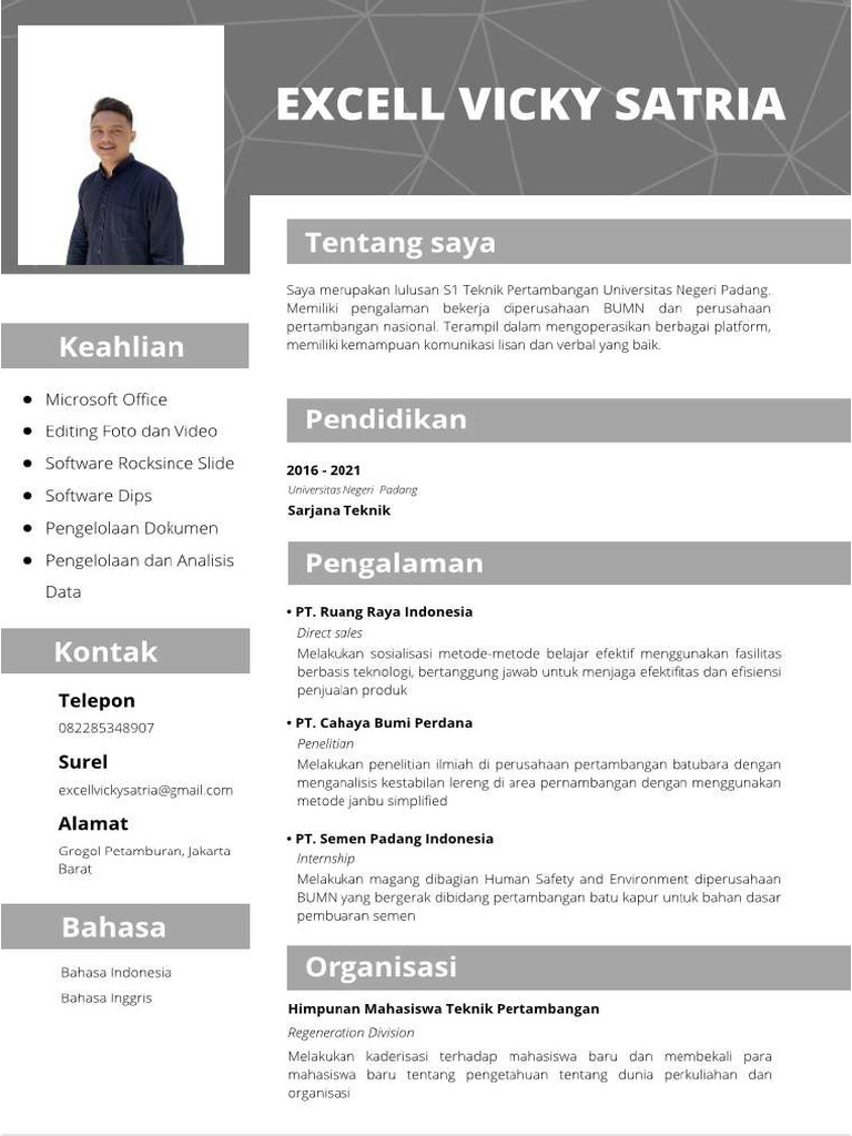 CV Excell | PDF