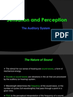 Auditory System