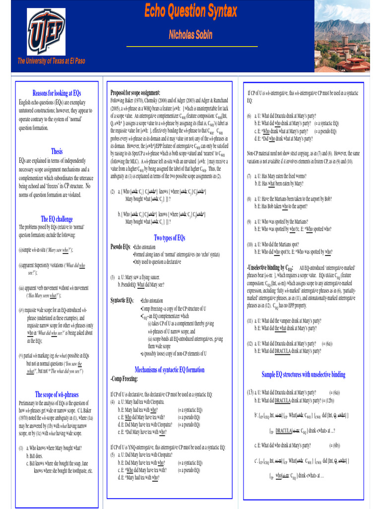 SOBIN (Poster) Echo Syntax | PDF | Cognitive Science | Language Mechanics